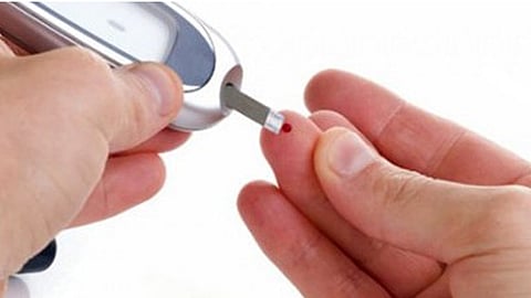 El informe se titula “Mechanisms by which a Very-Low-Calorie Diet Reverses Hyperglycemia in a Rat Model of Type 2 Diabetes” (Foto: Archivo)