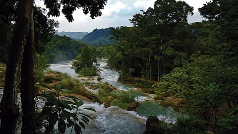 Velasco Coello reconoció el trabajo que realizaron los habitantes de la comunidad de Agua Azul (Foto: @RafaelPacchiano)