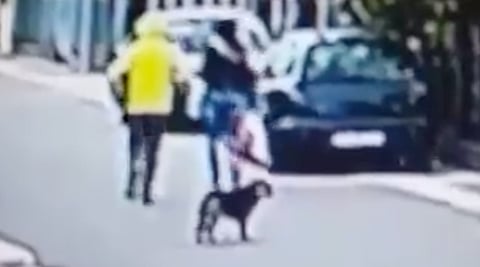 El agresor huyó del lugar ante la embestida del animal (Foto cortesía)