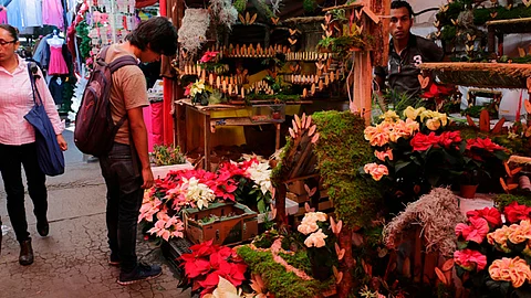 Los predios donde se extraen cuentan con permiso para comercializarlos (Foto: ACG)