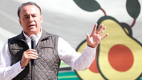 En esta demarcación se obtiene una producción superior a las 12 mil toneladas anuales de aguacate, cantidad que equivale a lo que producen Colima y Veracruz (Foto: Cortesía)