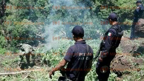 El huerto fue ubicado en la comunidad de La Coralilla (Foto: RED113)