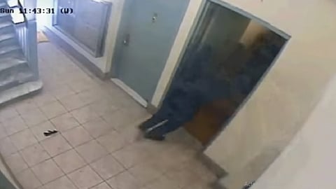 Se llevaron una cantidad total de cinco mil 500 dólares (Foto: Captura de video)