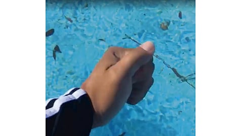 Estaban a -1 grado Celsius (Foto: Captura de video)