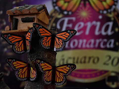 Esperan más de 250 mil visitantes en la Feria Monarca 2018