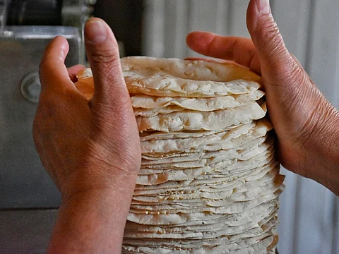 Crean tortilla a base de cebada, ideal para controlar glucosa y obesidad