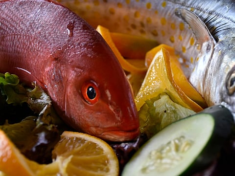 Aumenta demanda de pescados y mariscos en puntos de venta de Compesca