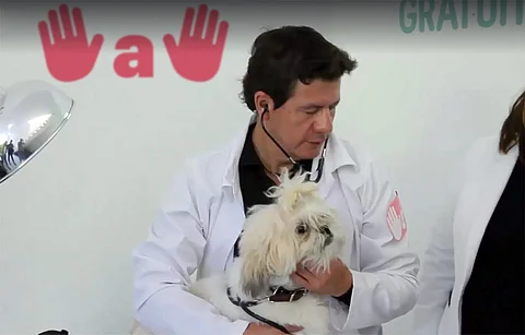 Invita “Mano a Mano” a visitar su Casa de Atención Ciudadana