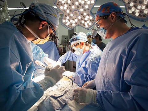 El 50% de los casos de insuficiencia renal son de causa desconocida