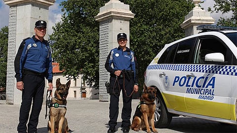 Los perros de la Sección Canina de la Policía Municipal reciben todos los cuidados, para que puedan desempeñar mejor su trabajo. (Foto Facebook: Policía Municipal de Madrid)