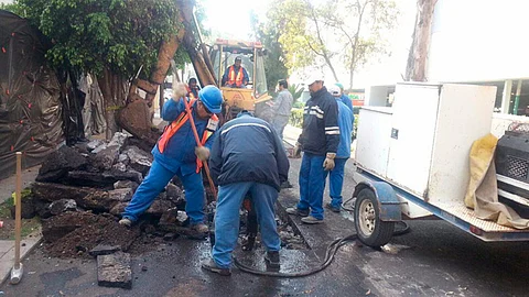 (Foto: Cortesía)