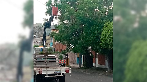 Estas acciones tienen como fin preservar la seguridad de automovilistas y peatones (Foto: Cortesía)