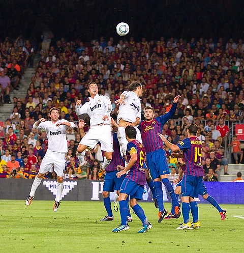 (Foto: Natursports / Shutterstock)