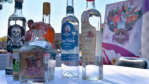 Michoacán cuenta con 29 municipios productores de mezcal con denominación de origen y al año destilan entre 70 mil y 80 mil litros que se comercializan a nivel local y nacional (Foto: Archivo ACG)
