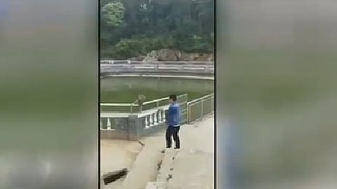 El video fue captado por otro visitante (Foto: captura de video)