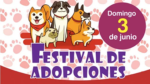 Habrá concurso de disfraces, taller de entrenamiento de agilidad canina, entre otras sorpresas (Foto: Cortesía)