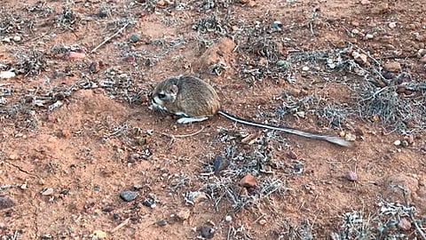 (Fotograma: YouTube)