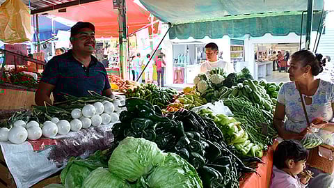 Además, ejecutarán la canalización eléctrica a través de tubería de 10 metros de altura y una longitud de 175 metros lineales (Foto: Cortesía)