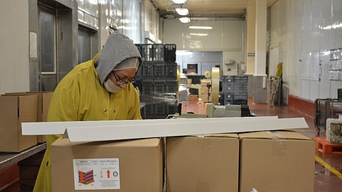 Las estadísticas del IMSS arrojan que en el presente año, Michoacán ha generado números positivos en cuanto a creación de empleos (Foto: Cortesía)