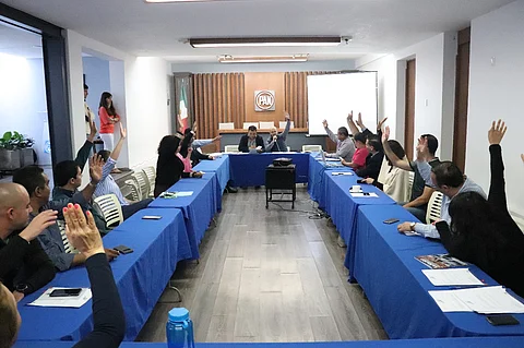 Comisión Permanente del PAN nombra a Diego Anita como Secretario General en Michoacán