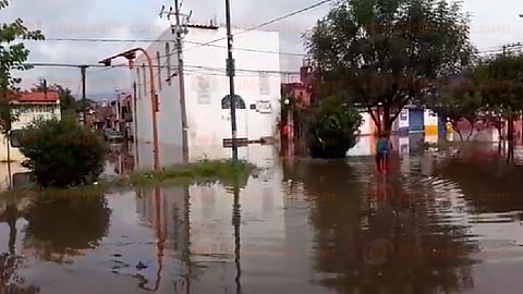 (Foto: Captura de video/RED 113)