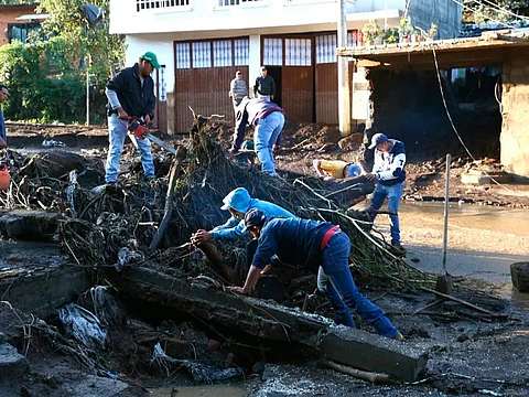 Huertas de aguacate, las directas responsables del desastre en Peribán