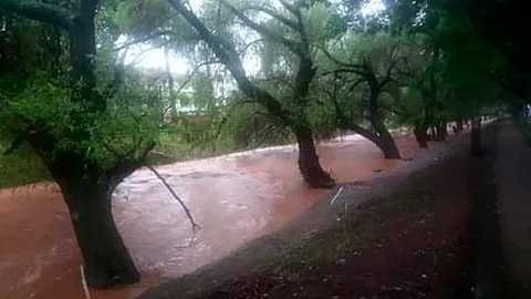 (Foto: Cortesía)