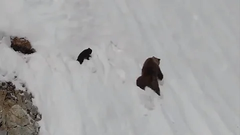 Aunque eso parecía tierno, la verdad es que es algo perturbador (Foto: captura de video)