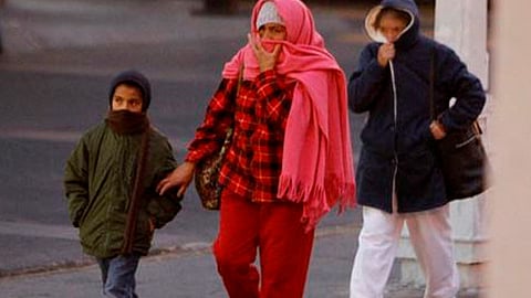 Hay que comer frutas ricas en vitamina C (Foto: Archivo)
