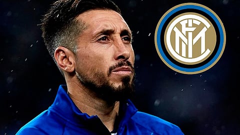 (Foto Twitter: @DepZoologico)