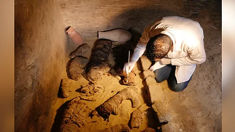 Arqueólogos descubren tumba con decenas de gatos momificados en Egipto