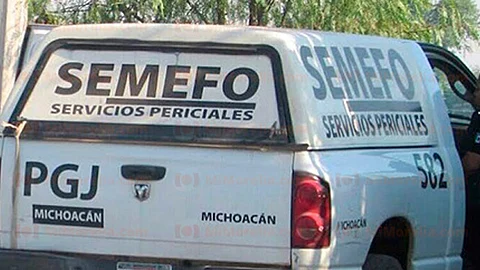 Los restos estaban dentro de diversas bolsas de plástico (Foto: Archivo)