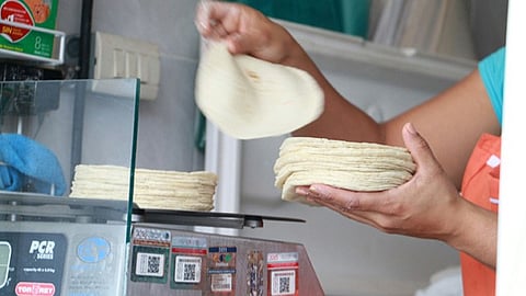 Firman Acuerdo Nacional Maíz-Tortilla para estabilizar precios