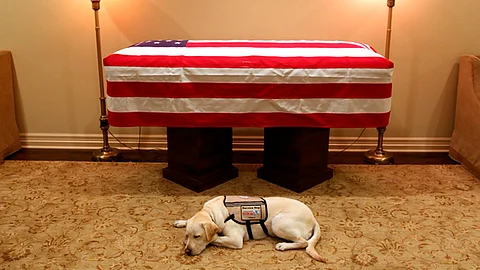 Regresará al servicio militar (Foto: IG/@sullyhwbush)