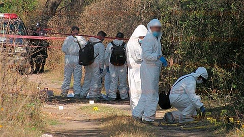 La identidad de la víctima es desconocida (Foto: RED 113)