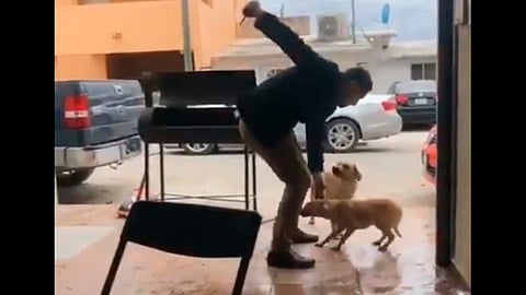 Aparentemente el sujeto trabaja en la CFE (Foto: captura de video)