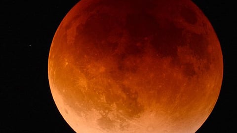 (Foto Twitter @sumariumcom)