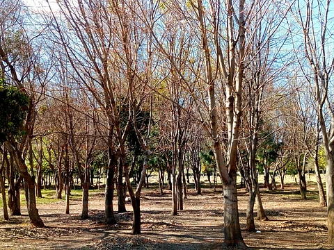 (Foto: Cristian Ruiz)