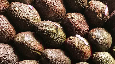 ¿Podría ser este un Superbowl sin guacamole? (Foto: Pexels)