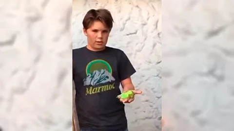 (Foto captura de pantalla YouTube Chimuelo, descansa en paz)