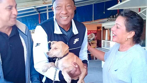 (Foto Facebook: Hermano Animal AC)
