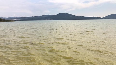 Usuarios de redes acusan indiferencia por parte de la Tenencia de Zirahuén y de la presidencia de Salvador Escalante para atender esta problemática (Foto: FB/Mi pueblito Zirahuén)