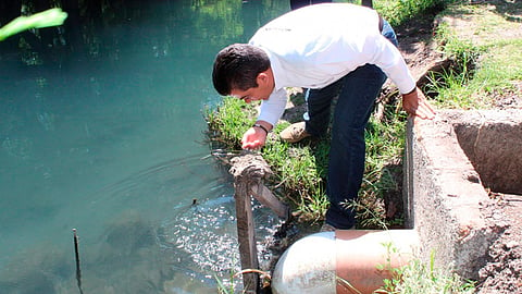 “Esta buena”: funcionario tras beber agua del lago de Camécuaro