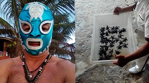 “Supertotugo” nació en 2005, según las publicaciones de Manuel Salvador Gomez Galeana (Foto: FB/Manuel Salvador Gomez Galeana)