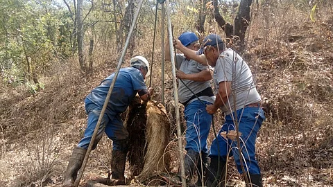 La limpieza se realizará de 07:00 a 16:00 horas (Foto: Cortesía)