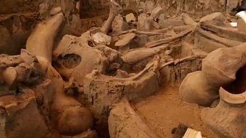 (Fotograma: Secretaría de Cultura)