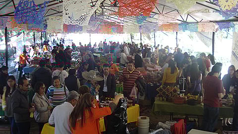 Este año participarán los municipios de Indaparapeo, Jiquílpan, Tacambaro, Santa Ana Maya, Hidalgo, Puruándiro, entre otros. (Foto: Cortesía)