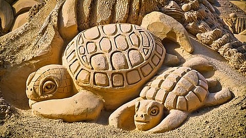 Habrá concursos de figuras de arena y de baile de tarima, torneos de volibol y fútbol de playa, así como muestras gastronómicas y la puesta en marcha de un Tianguis Artesanal (Foto: pixabay)