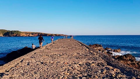 (Foto Facebook: Nexpa Surf)