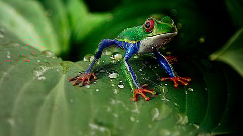 En este año se cuenta con la participación de 40 ciudades de la República Mexicana (Foto: Pixabay.com)